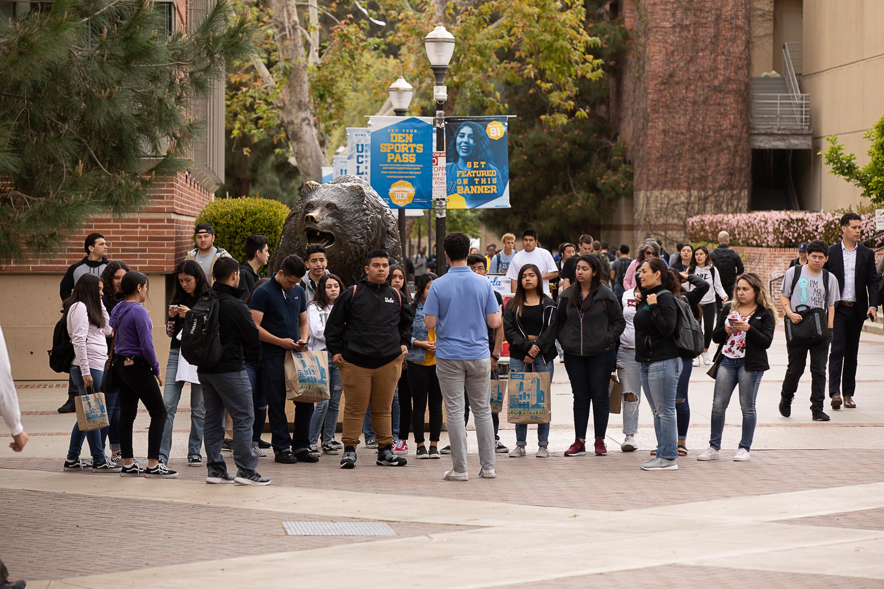 Prospective Students | UCLA Neuroscience